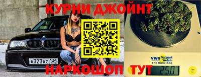 гашик Гусев